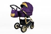 Raf-pol BABYLUX Gold Lux ALU