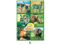 Kocky obrázkové 16ks Afrika