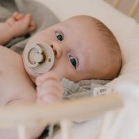 Bibs cumlík z prírodného kaučuku blush 1ks 18-36m