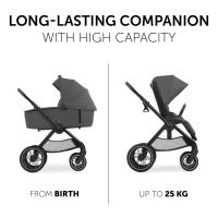 Hauck 2v1 Walk N Care Air