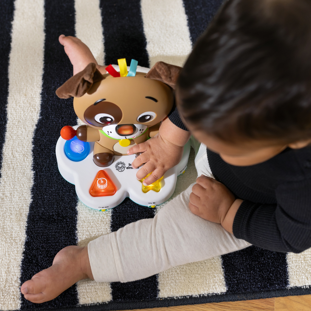 BABY EINSTEIN Hračka hudobná vzdelávacia Drum &amp; Learn Dean™ 6m+