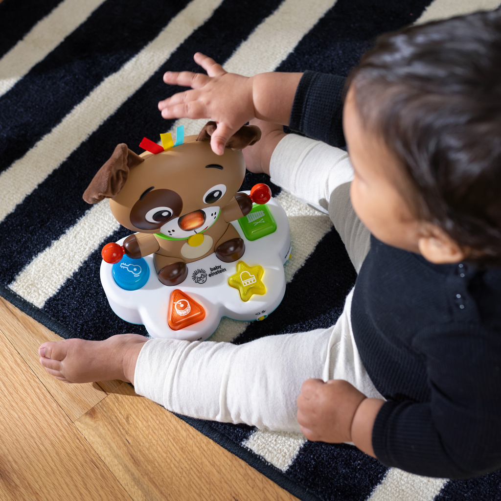 BABY EINSTEIN Hračka hudobná vzdelávacia Drum &amp; Learn Dean™ 6m+