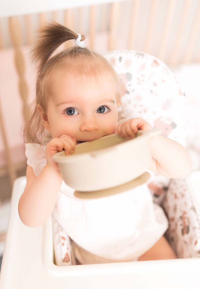 CEBA BABY Vložka do jedálenskej stoličky (38x28) Basic Koala