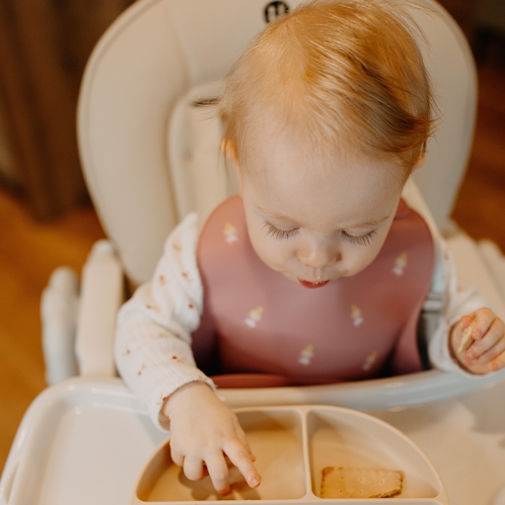 PETITE&amp;MARS Podbradník silikónový Take&amp;Match Rose Princesses 6m+