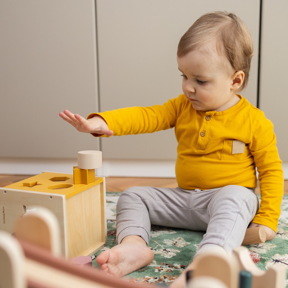 PETITE&amp;MARS Hračka drevená triediaca Gravity Wood of Mars 12m+ Aurora Pink