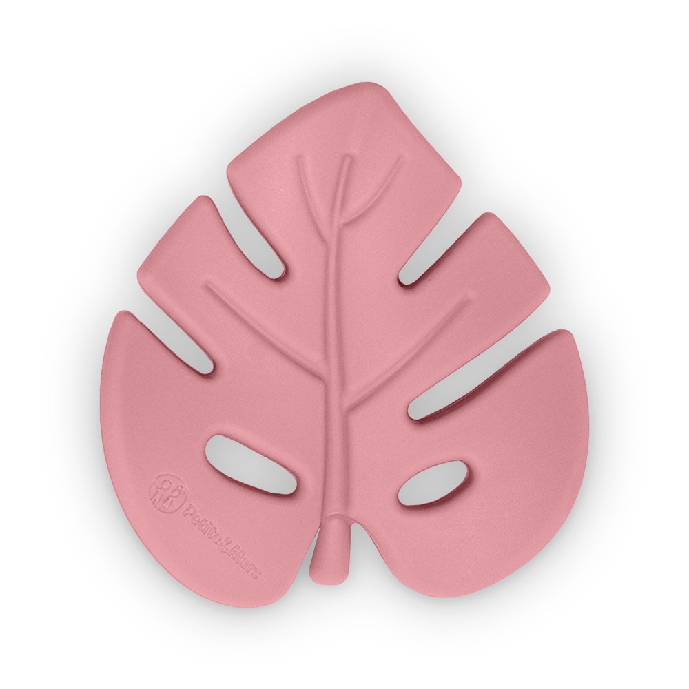 PETITE&amp;MARS Hryzačka silikónová TAKE&amp;MATCH Dusty Rose 0m+