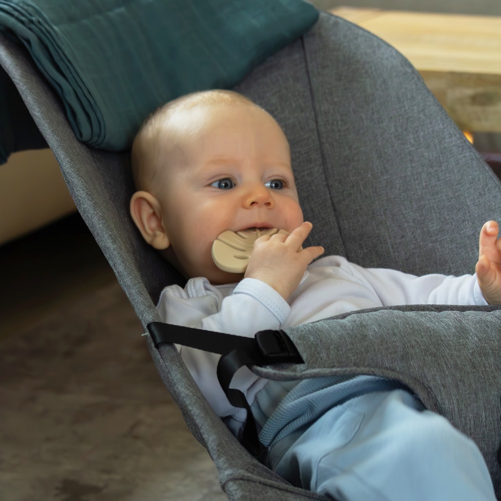 PETITE&amp;MARS Hryzačka silikónová TAKE&amp;MATCH Dusty Rose 0m+