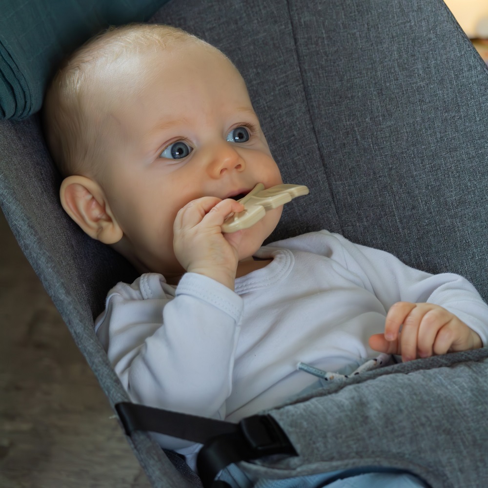 PETITE&amp;MARS Hryzačka silikónová TAKE&amp;MATCH Misty Green 0m+