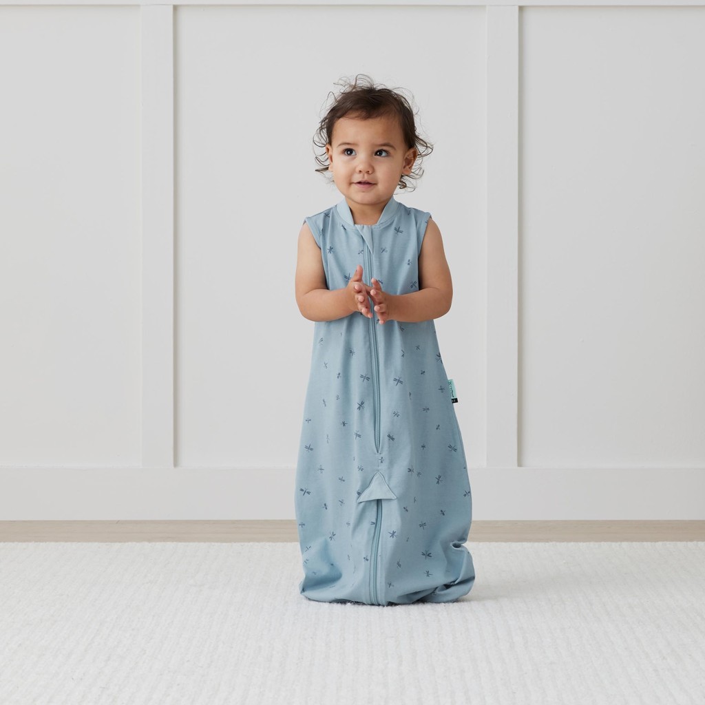 ERGOPOUCH Vak a overal na spanie 2v1 organická bavlna Suit Dragonflies 3-12 m, 6-10 kg, 0,2 tog