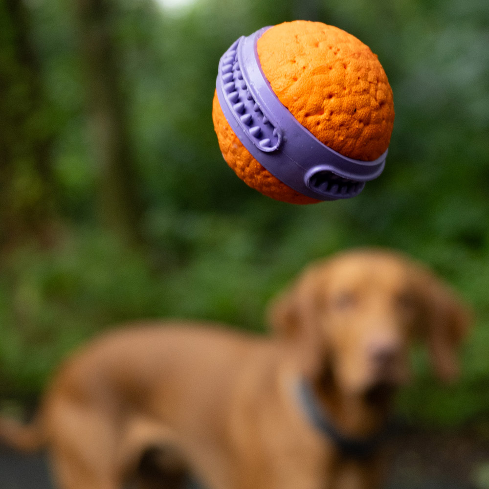 EXPLORER DOG Airball Dent 6 cm