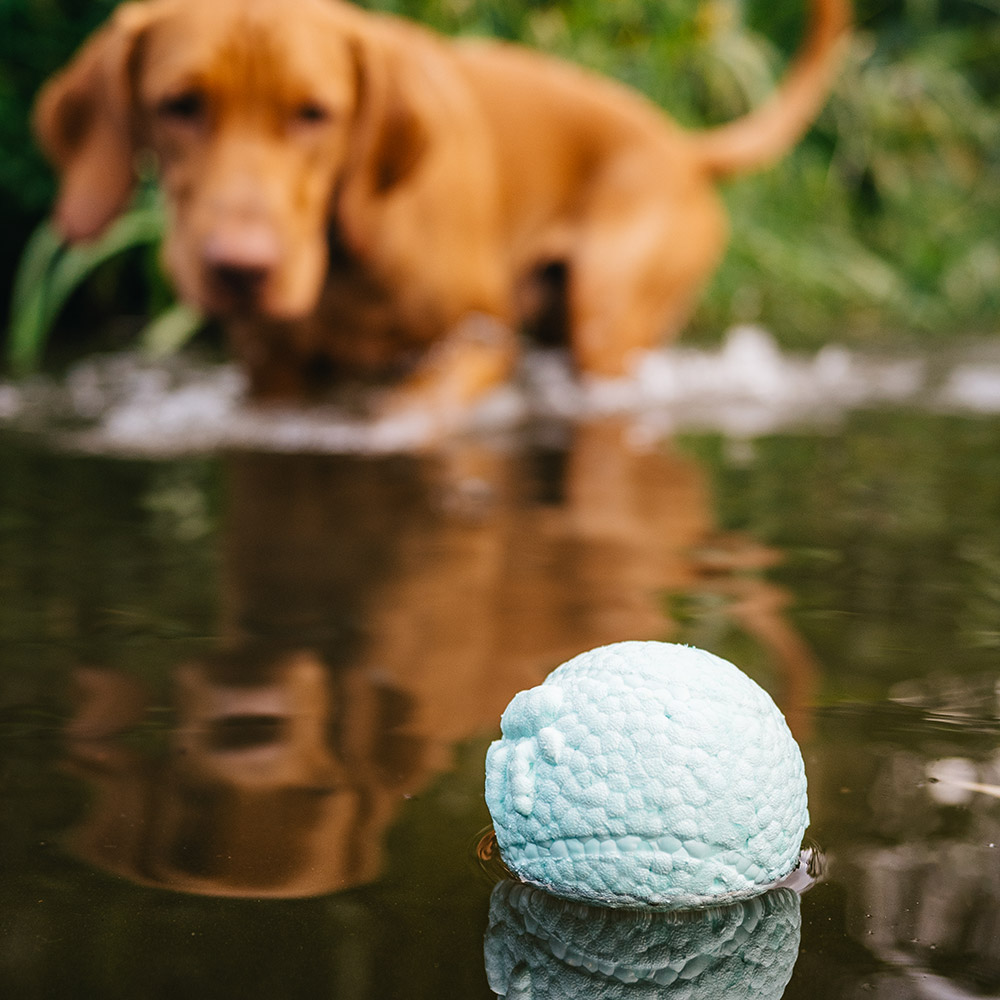 EXPLORER DOG Airball Tyrkysový 8 cm