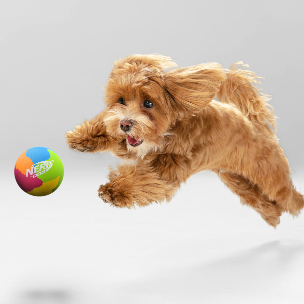 NERF DOG Hračka pre psov gumová super odrazová loptička 9,5 cm