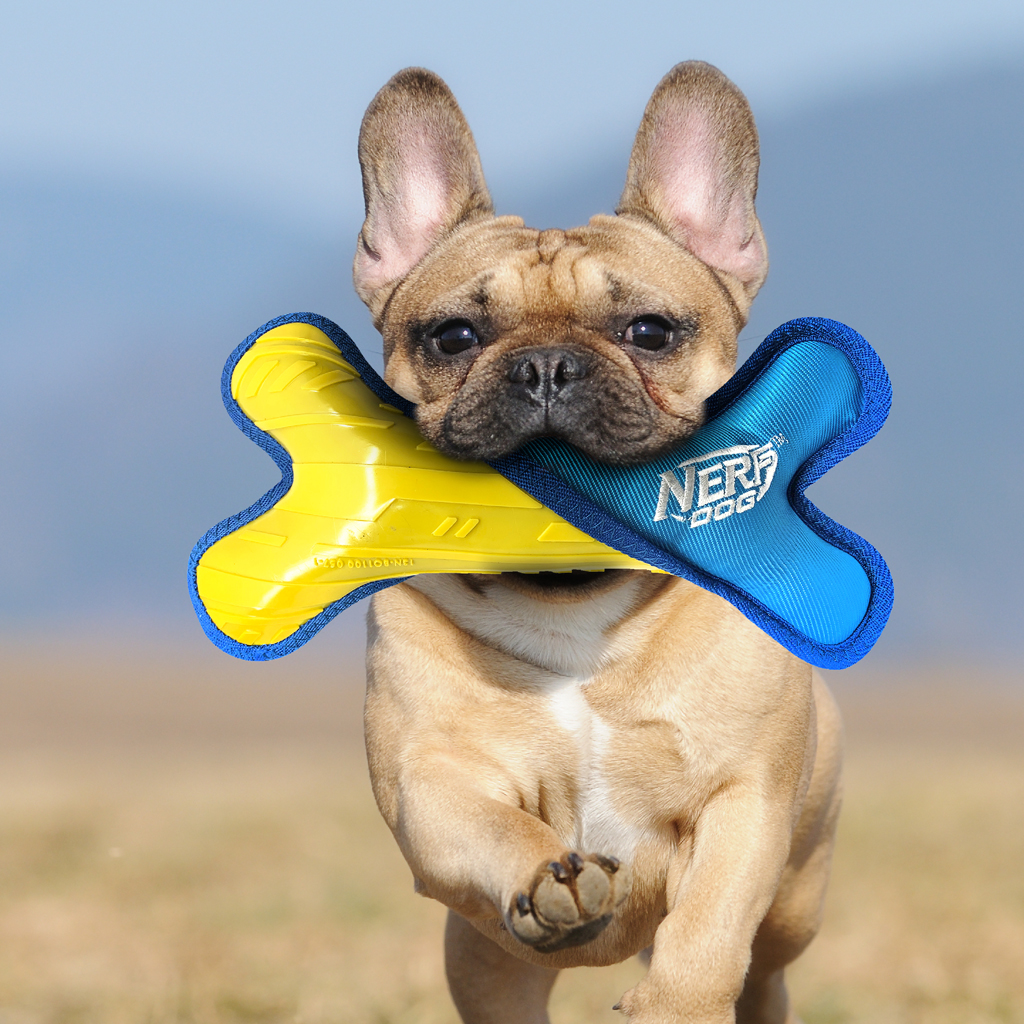 NERF DOG Hračka pre psov odolná kosť s plyšovou nylonovou výplňou 28 cm