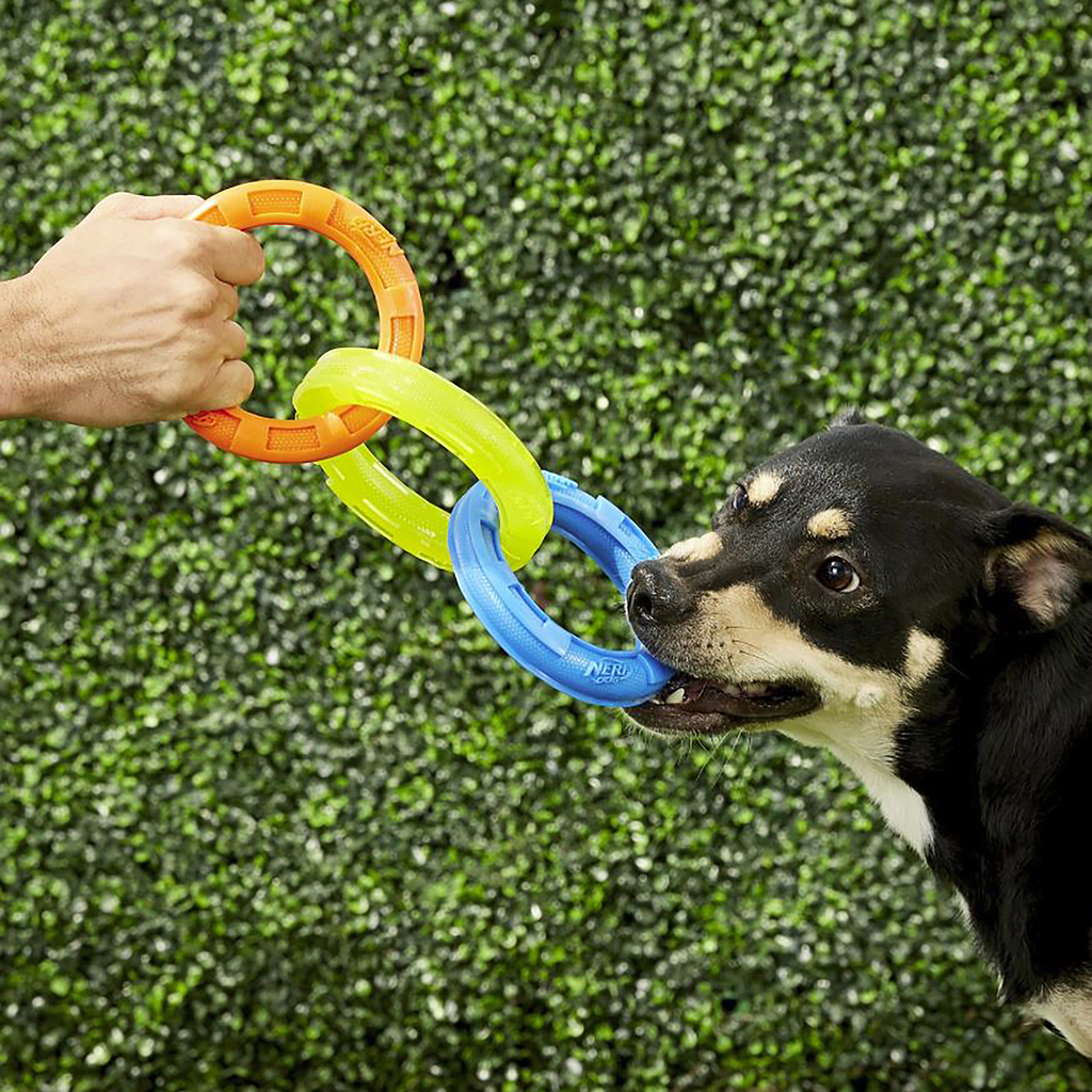 NERF DOG Preťahovadlo s tromi krúžkami