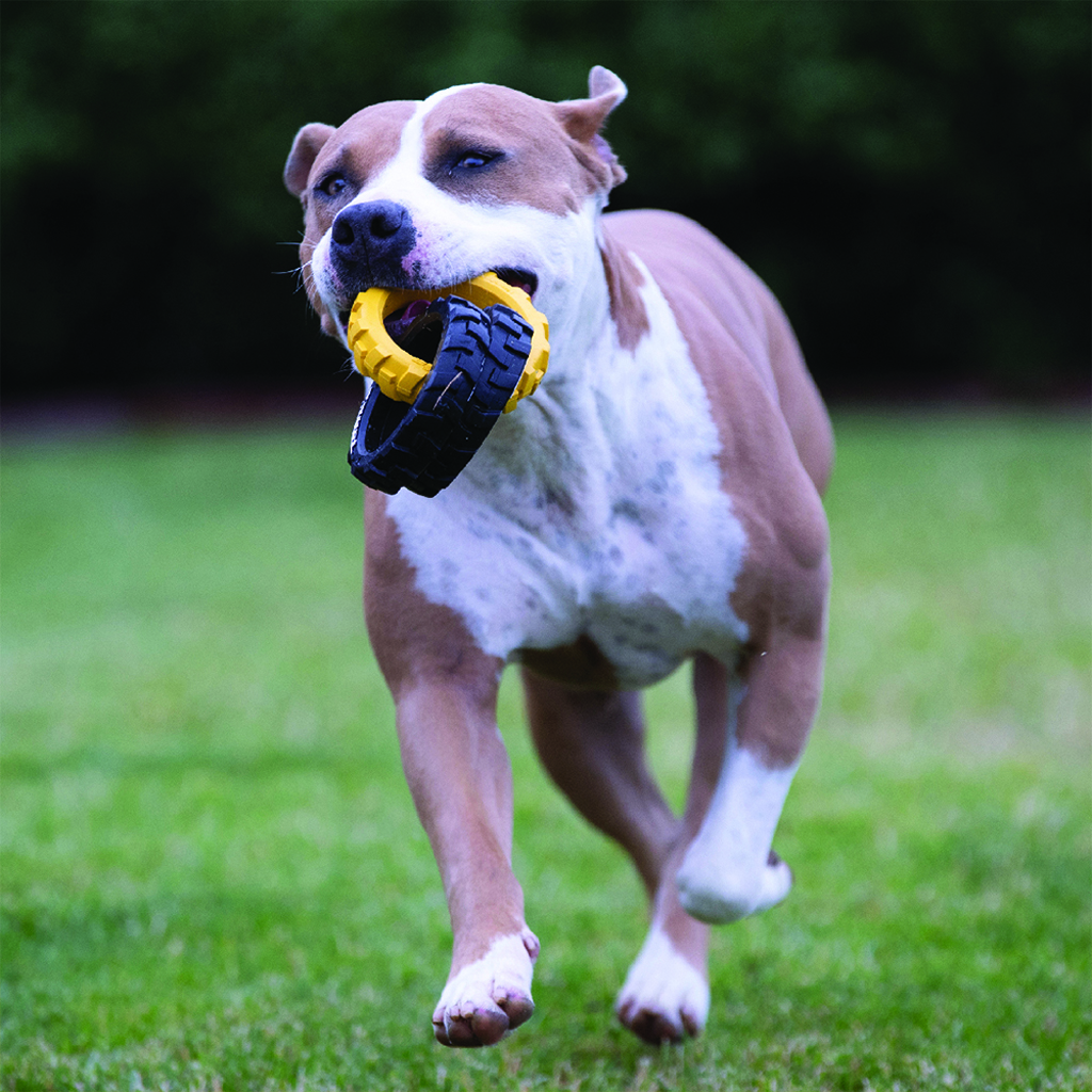 TONKA Hračka pre psov gumové 3-kruhové ťahadlo s flexibilným vzorom 27 cm
