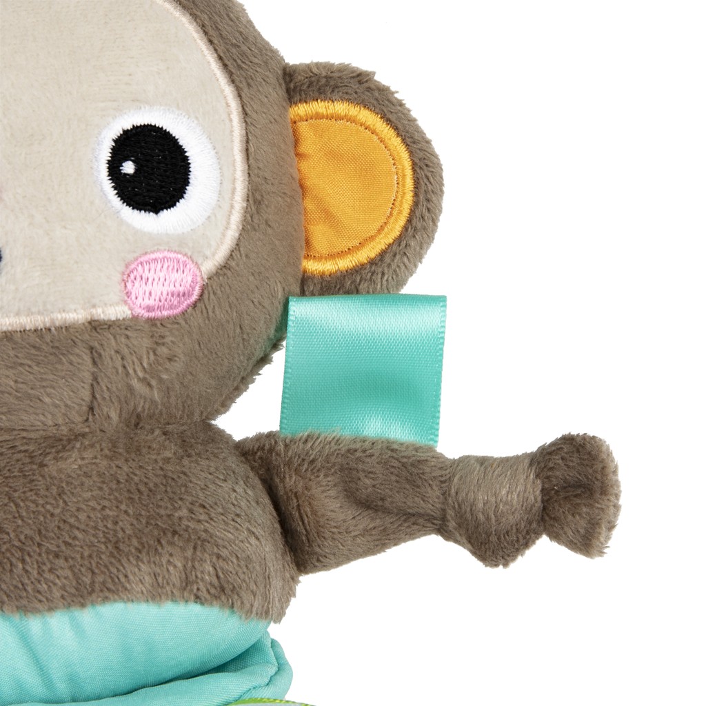 BRIGHT STARTS Hračka s melódiou na C krúžku Pull, Play &amp; Boogie™ opica 0m+