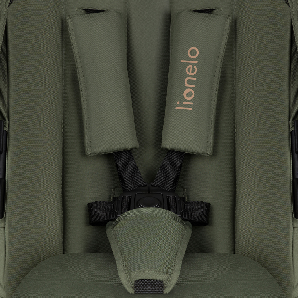 LIONELO Kočík kombinovaný Amber Plus 3v1 Green Forest