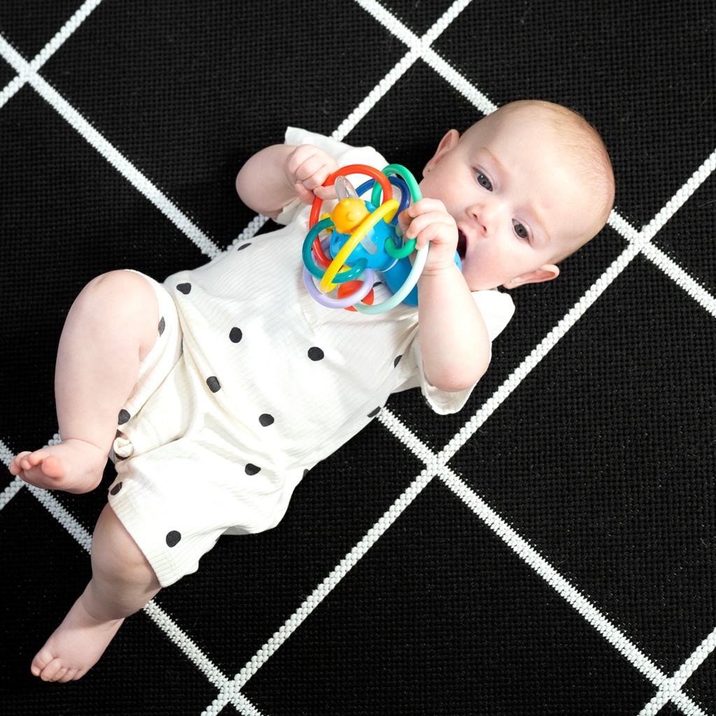 BABY EINSTEIN Hryzačka/hrkálka Opus’s Shake &amp; Soothe™ 0m+