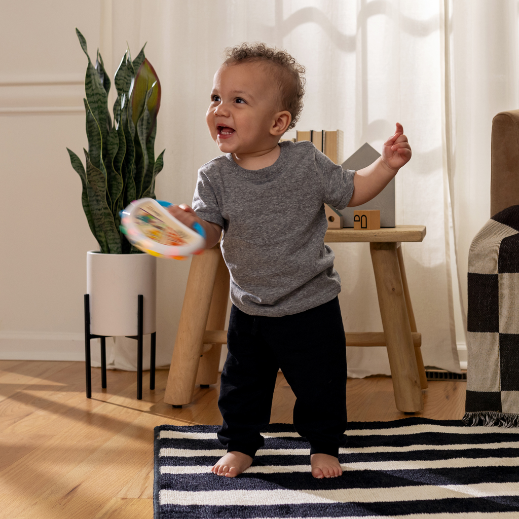 BABY EINSTEIN Hračka hudobná tamburína Tap &amp; Shake™ Magic Touch™ HAPE 6m+