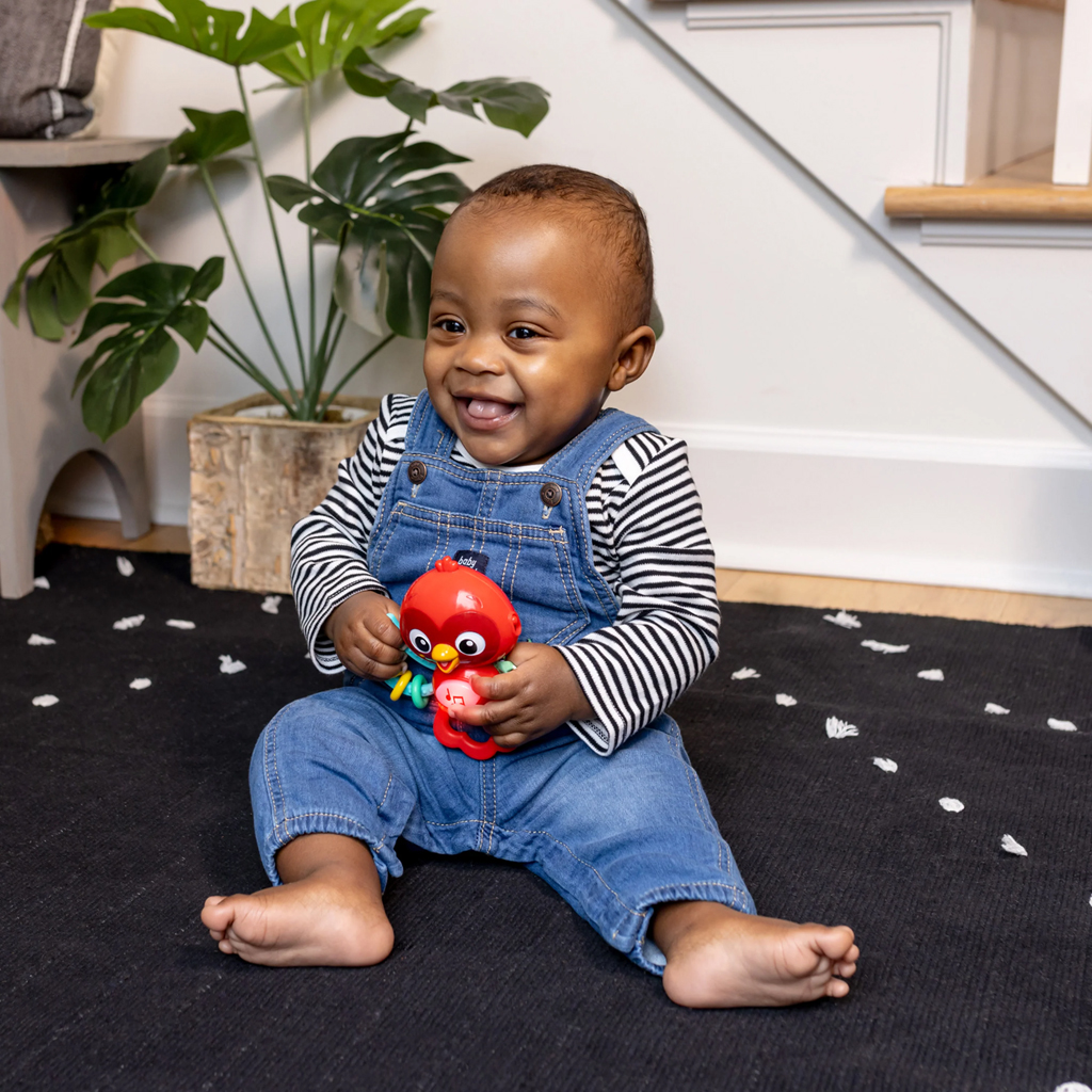 BABY EINSTEIN Hračka hudobná senzorická Roxy's Bright Flight™ 3m+
