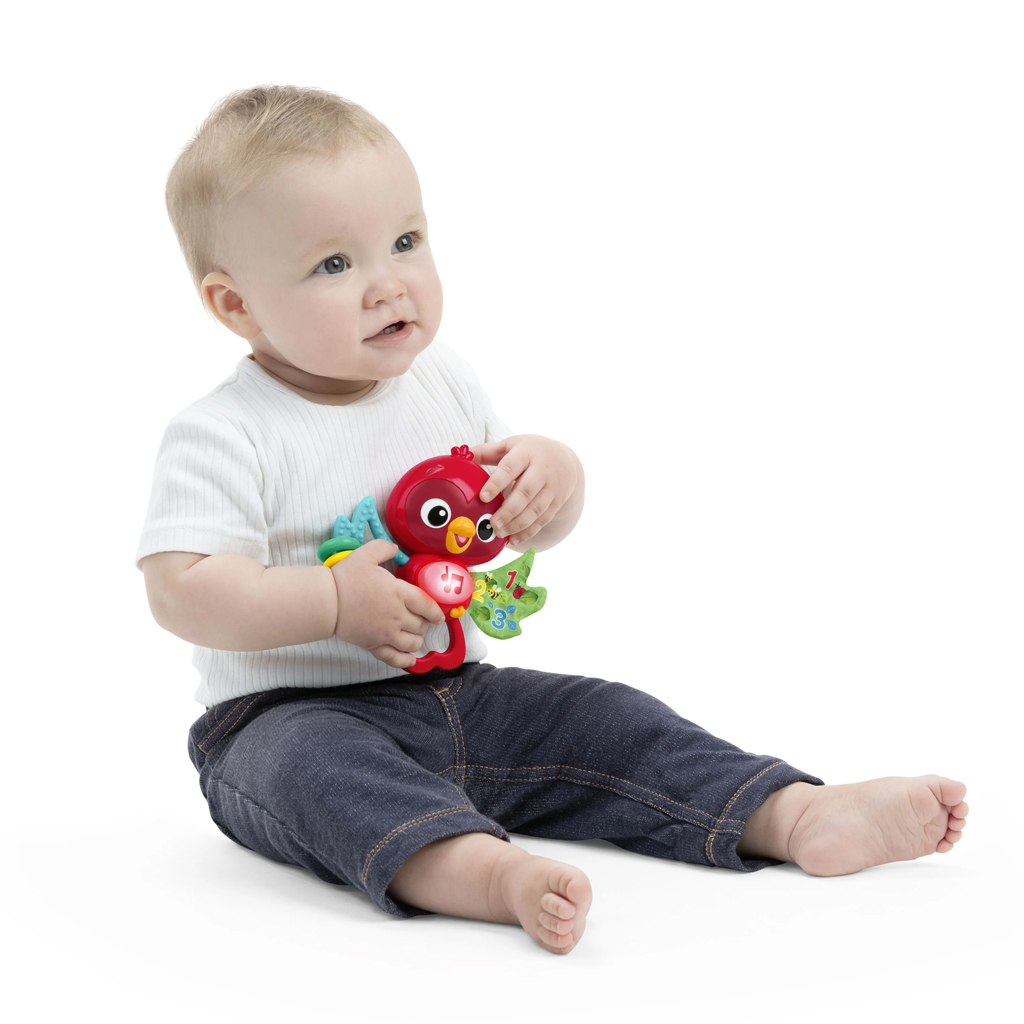 BABY EINSTEIN Hračka hudobná senzorická Roxy's Bright Flight™ 3m+