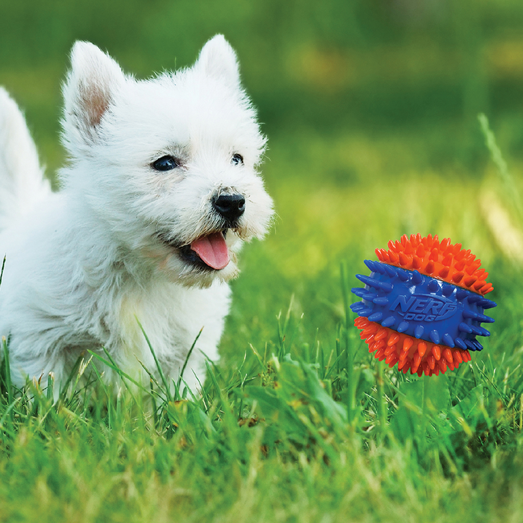 NERF DOG Hračka pre psov pískacia loptička so spikmi 6,9 cm