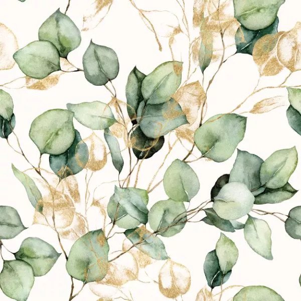 Muselin Eucalyptus muselin Eucalyptus